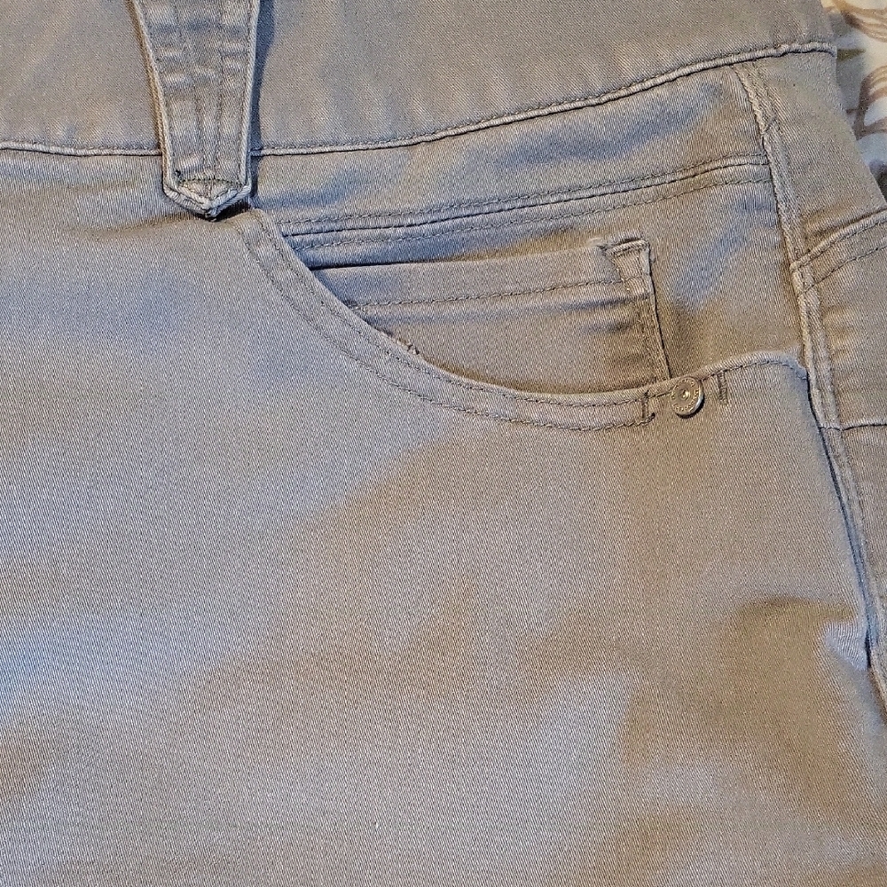 Democracy Absolution Gray Pants- 18W - Picture 4 of 9